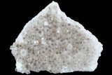Smoky Quartz Crystal Cluster - Diamond Hill, South Carolina #91241-1
